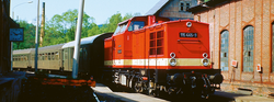 Brawa 41715 Diesel Locomotive BR 115 DR DC Digital EXTRA