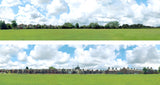 Art Printers iD Backscenes Into The Town 106 107 15" Standard Scene B Mirrored