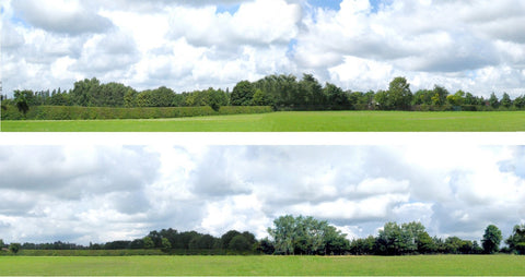 Art Printers iD Backscenes Countryside 109 15" Standard Scene A