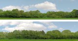 Art Printers iD Backscenes Trees 147 15" Standard Scene A Mirrored