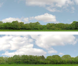 Art Printers iD Backscenes Trees 147 24" Standard Scene A Mirrored