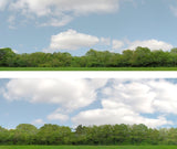 Art Printers iD Backscenes Trees 147 24" Standard Scene A