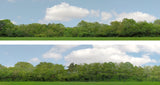 Art Printers iD Backscenes Trees 147 15" Standard Scene A