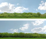 Art Printers iD Backscenes Trees 147 24" Standard Scene B Mirrored