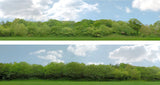 Art Printers iD Backscenes Trees 147 15" Standard Scene B Mirrored