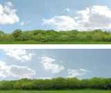 Art Printers iD Backscenes Trees 147 24" Standard Scene B