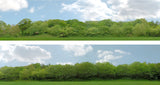 Art Printers iD Backscenes Trees 147 15" Standard Scene B