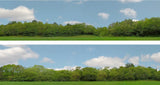 Art Printers iD Backscenes Trees 147 15" Standard Scene C Mirrored
