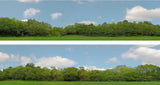 Art Printers iD Backscenes Trees 147 15" Standard Scene C