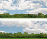 Art Printers iD Backscenes Trees 147 24" Standard Scene D Mirrored
