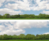 Art Printers iD Backscenes Trees 147 24" Standard Scene D