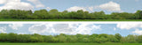 Art Printers iD Backscenes Trees 147 N Scale Standard Scene A Mirrored