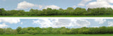 Art Printers iD Backscenes Trees 147 N Scale Standard Scene A