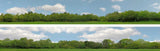 Art Printers iD Backscenes Trees 147 N Scale Standard Scene B Mirrored