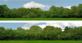 Art Printers iD Backscenes Tall Trees 149 15" Standard Scene A