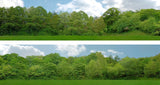 Art Printers iD Backscenes Tall Trees 149 15" Standard Scene B