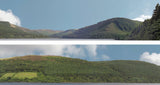 Art Printers iD Backscenes Forest Hills 201 15" Standard Scene A Mirrored