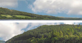 Art Printers iD Backscenes Forest Hills 201 15" Standard Scene B