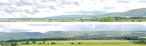 Art Printers iD Backscenes 9 Inch Hills And Dales 208 9" Standard Scene A