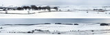 Art Printers iD Backscenes Winter Hills 402 N Scale Standard Scene
