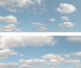 Art Printers iD Backscenes Sky Papers Summer Sky 501 24" Standard Scene C Mirrored