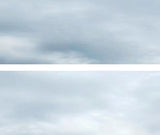 Art Printers iD Backscenes Sky Papers Overcast Sky 503 24" Standard Scene D