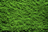 Scalology Clumped Foliage Scatter Material – Dark Green SG113