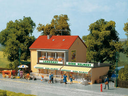 Auhagen 12238 1:100 Country general store