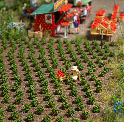 Busch 1265 40 Strawberry plants
