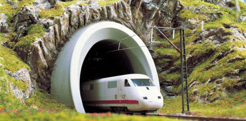Busch 8194 N Ice Tunnel Entrance
