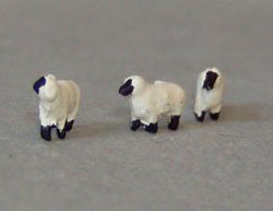 Sheep - N Gauge