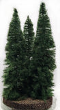 Fir Trees 18-24cm (3)