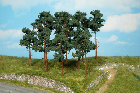Heki 1413 14 Scots Pine Trees 10 - 16cm