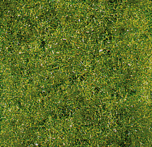 Heki 1594 Wild Grass Meadow 2-3mm 28 X 14cm Flock