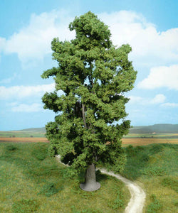 Cliff Maple Tree 30 cm
