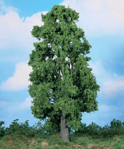 Chestnut Tree 30cm