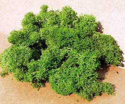 Heki 3219 Lichen Light Green 75g