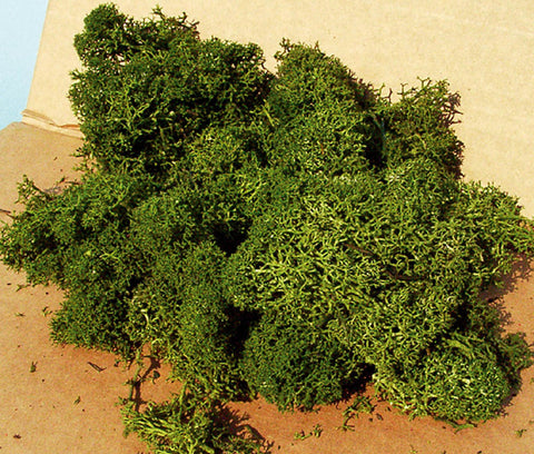 Heki 3234 Lichen Medium Green 250g