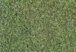 Heki 33540 Static Wild Grass Winter Green 5-6mm 75g