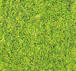 Heki 3367 Wild Grass Flock Meadow Green 5-6mm X 75g Bag