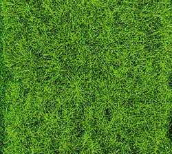 Static Wild Grass: Forest Floor 5-6mm 75g