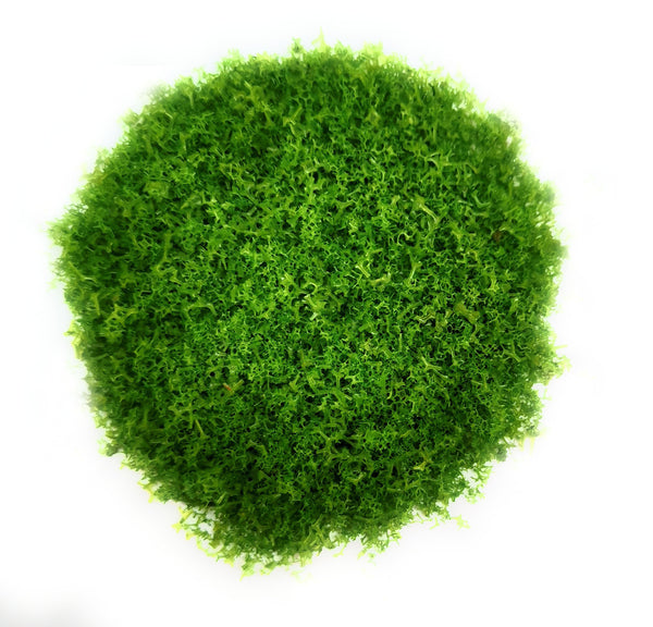 Structure Foliage Scatter Material - Ground / Tree Cover 30g