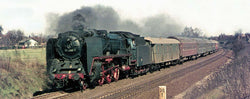 Brawa 40912 Steam Locomotive BR 01 DR DC Analogue BASIC