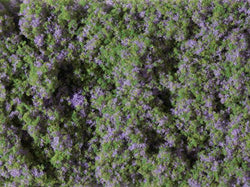 Auhagen 76931 HO Flower mat lilac